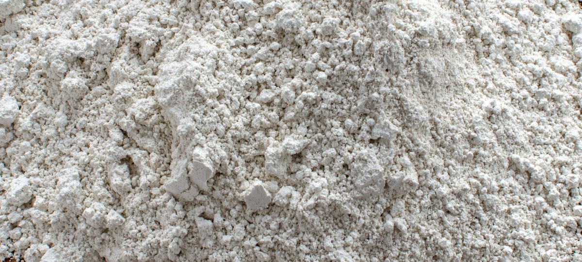 DIatomaceous Earth