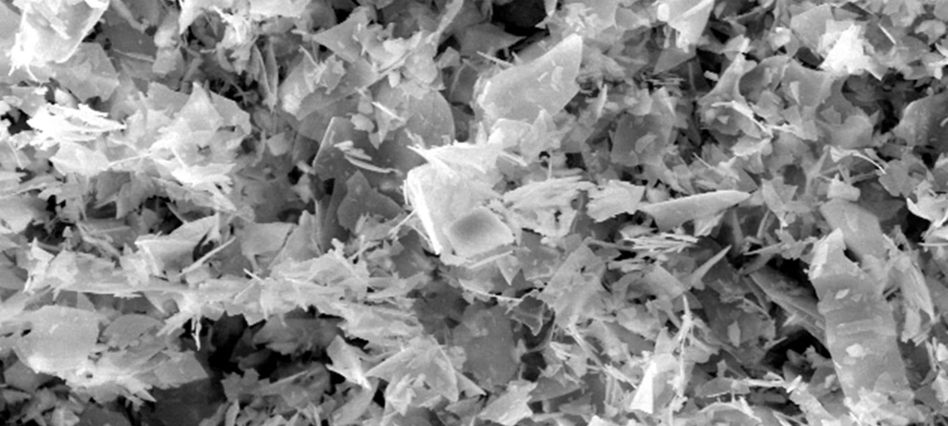 Filter Aids · Dicalite Management Group