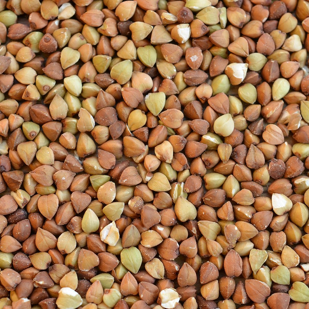 Seed Coatings · Dicalite Management Group