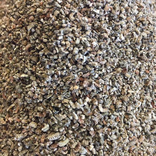 SPV Copr. Vermiculite