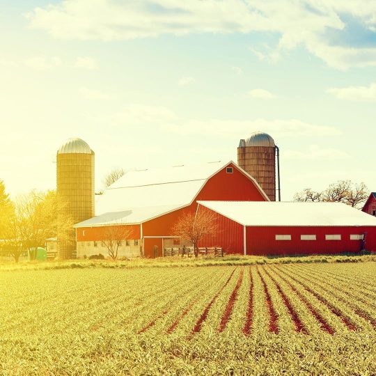 National Farmer’s Day: How Farmers Use Minerals