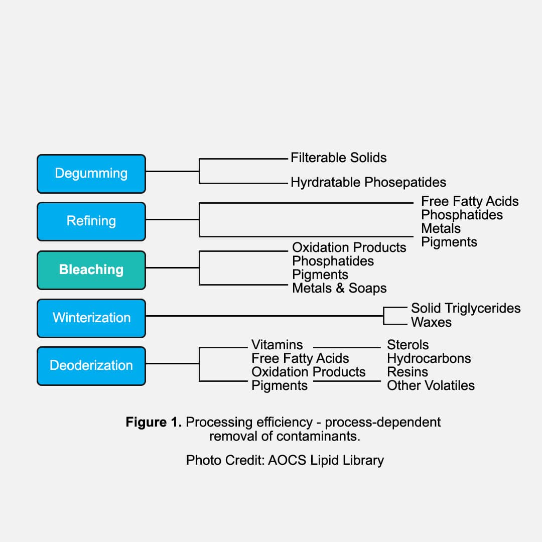 Edible Oil Filtration