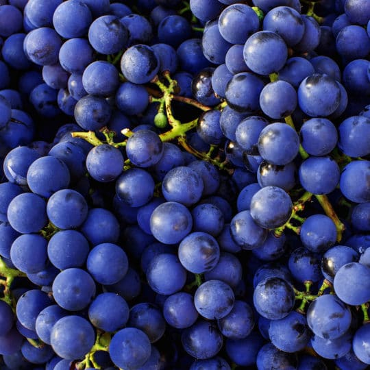 grapes