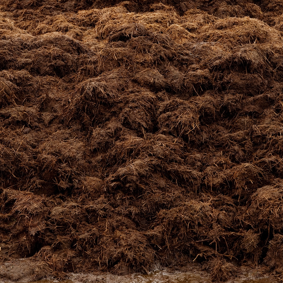 Phosphorus Removal From Manure: An Innovative Technology Proposal