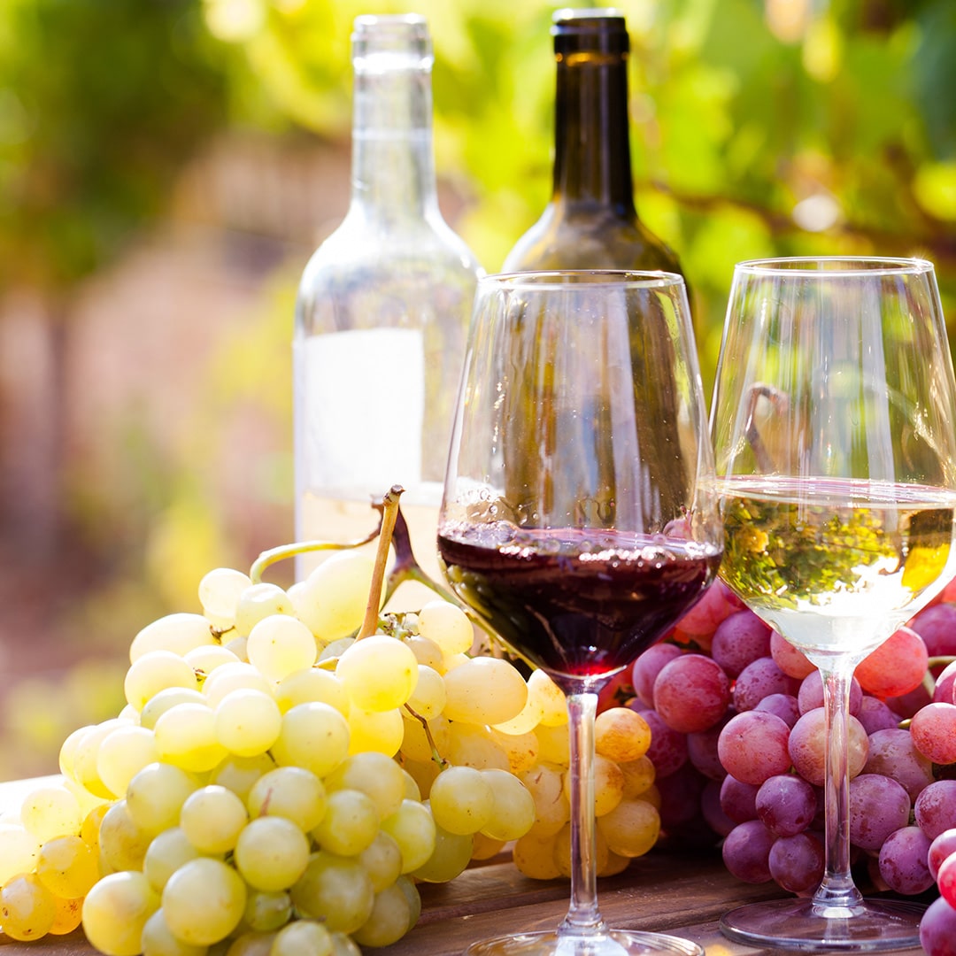 Diatomaceous Earth and Wine: The Perfect Pairing