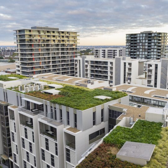 roof garden