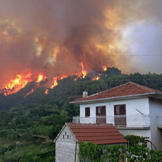 Wildfire near the houses