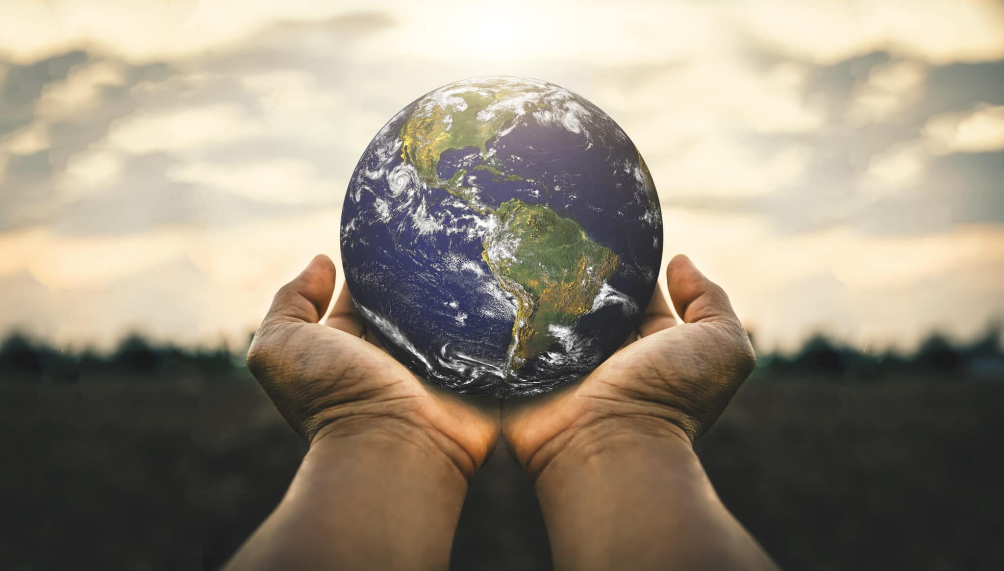 Celebrating Earth Day 2022 Invest In Our Planet Dicalite Management 
