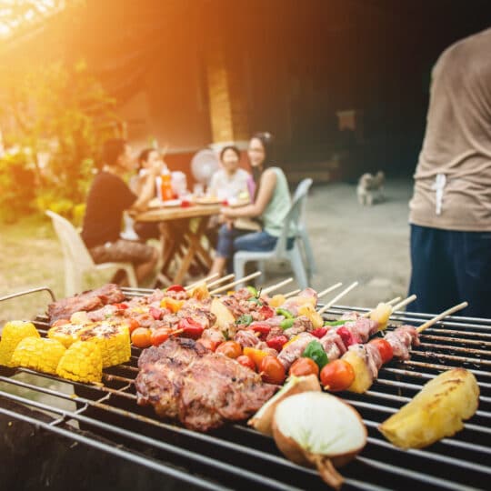 Minerals at Your Barbecue