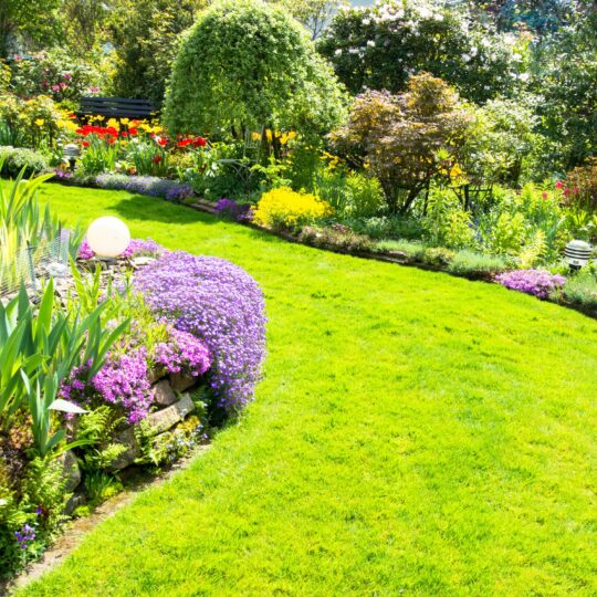 Lawn & Garden