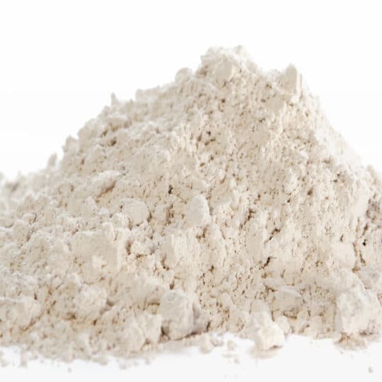 Diatomaceous Earth